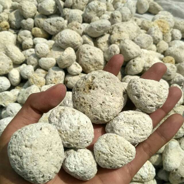 Pumice Stone Batu Apung Shopee Indonesia