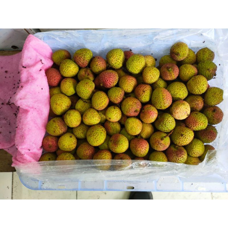 

PROMO LECI HIJAU MADU 1 BOX ISI 5 KG NETTO (WAJIB PAKAI GOJEK/GRAB)