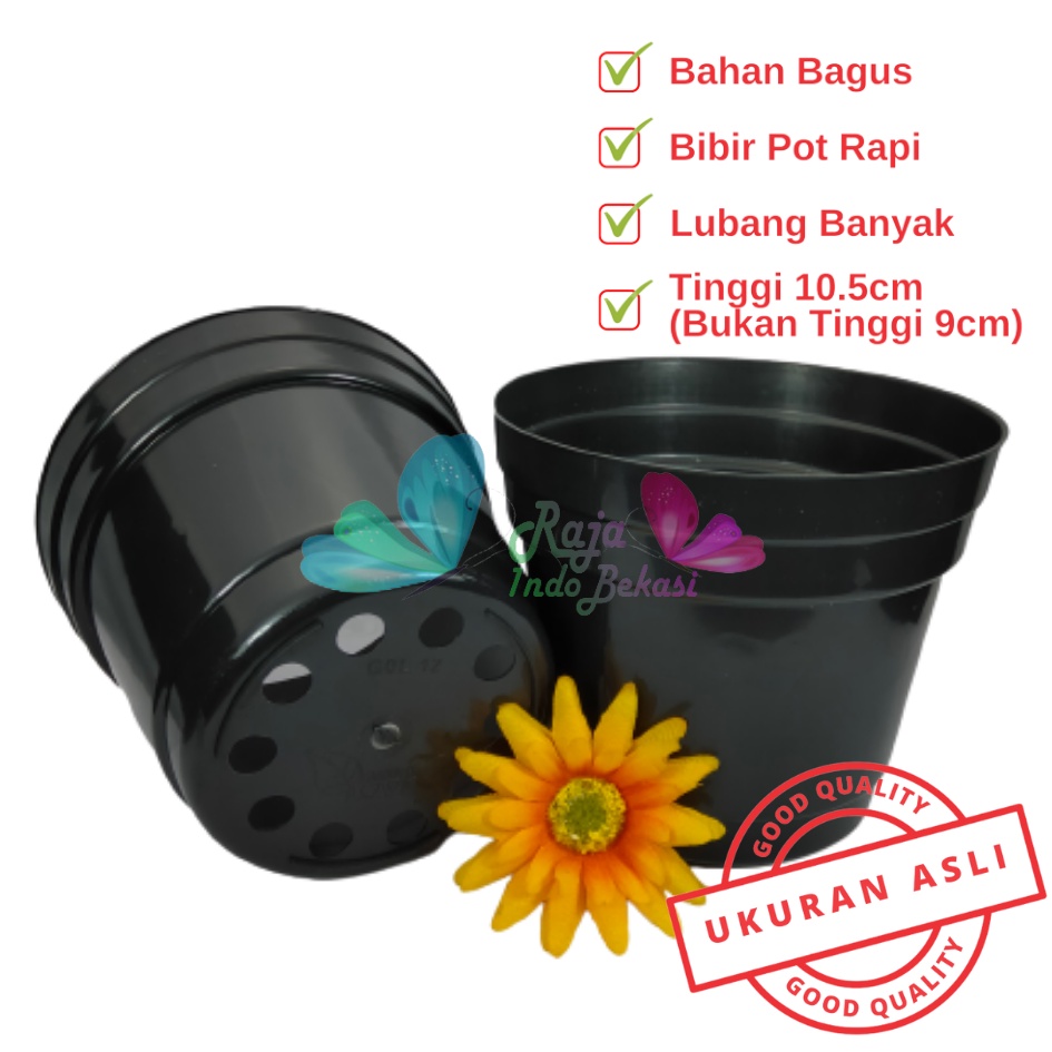 Pot 12 Cm Hitam Polos - Pot 12 Hitam Kecil Mini Minimalis Plastik Kaktus Sukulen Mini Murah Pot Bibit Pembibitan