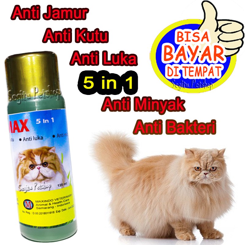 SAMPO KUCING ANTI JAMUR BAKTERI KUTU SHAMPO LUKA ANTI MINYAK SEPTIMAX