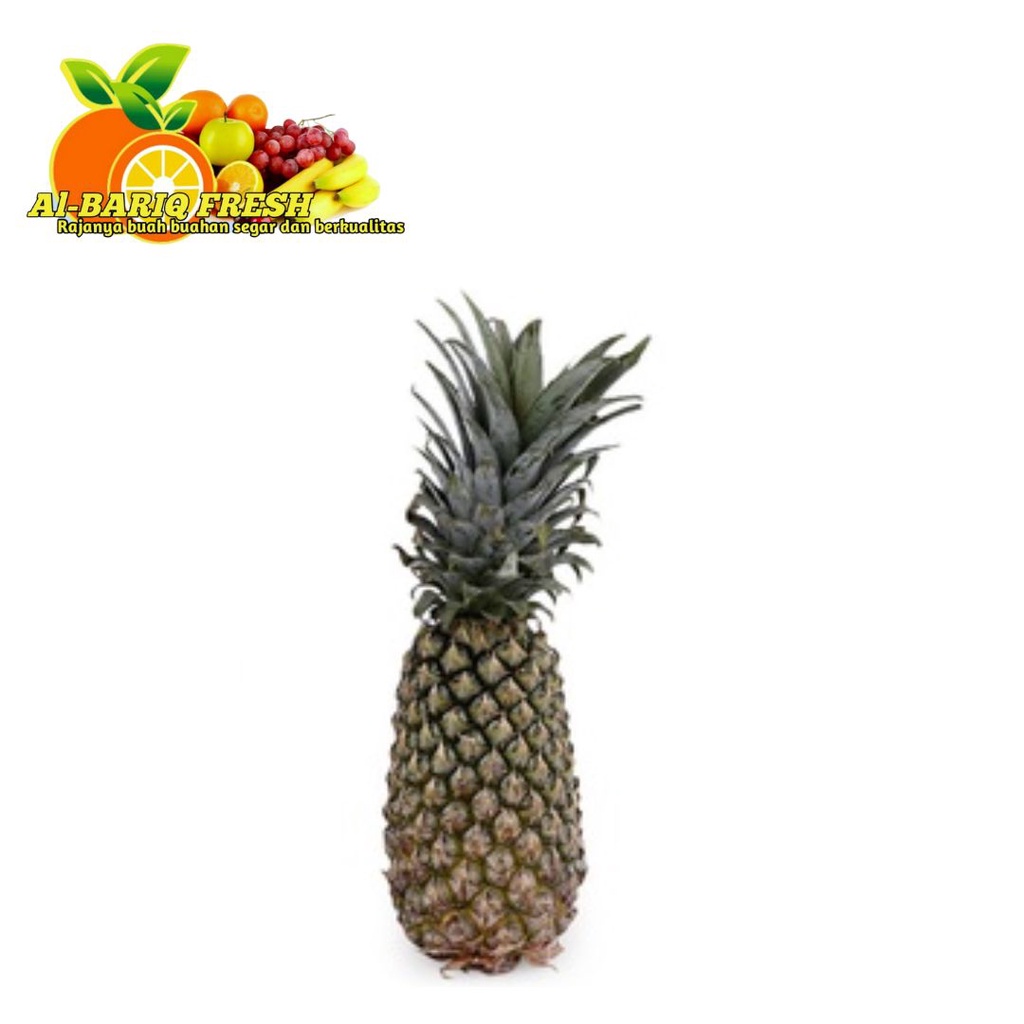 

Nanas Palembang Besar 1 pcs Al-Bariq Fresh