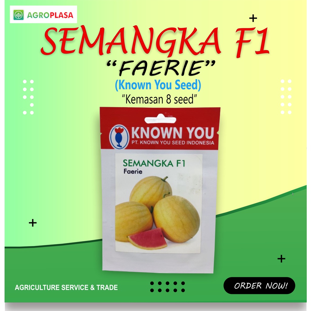 Benih Semangka Faerie Known You Seed