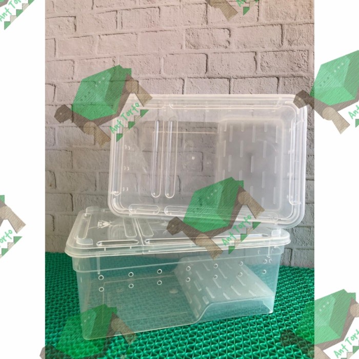 Nomoy Plastic Box K3 Frog Turtle Kandang Kodok Pacman Kura Air Brazil