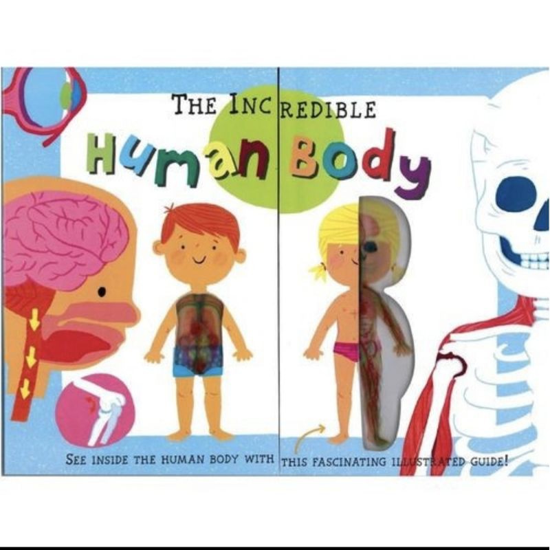 The incredible human body