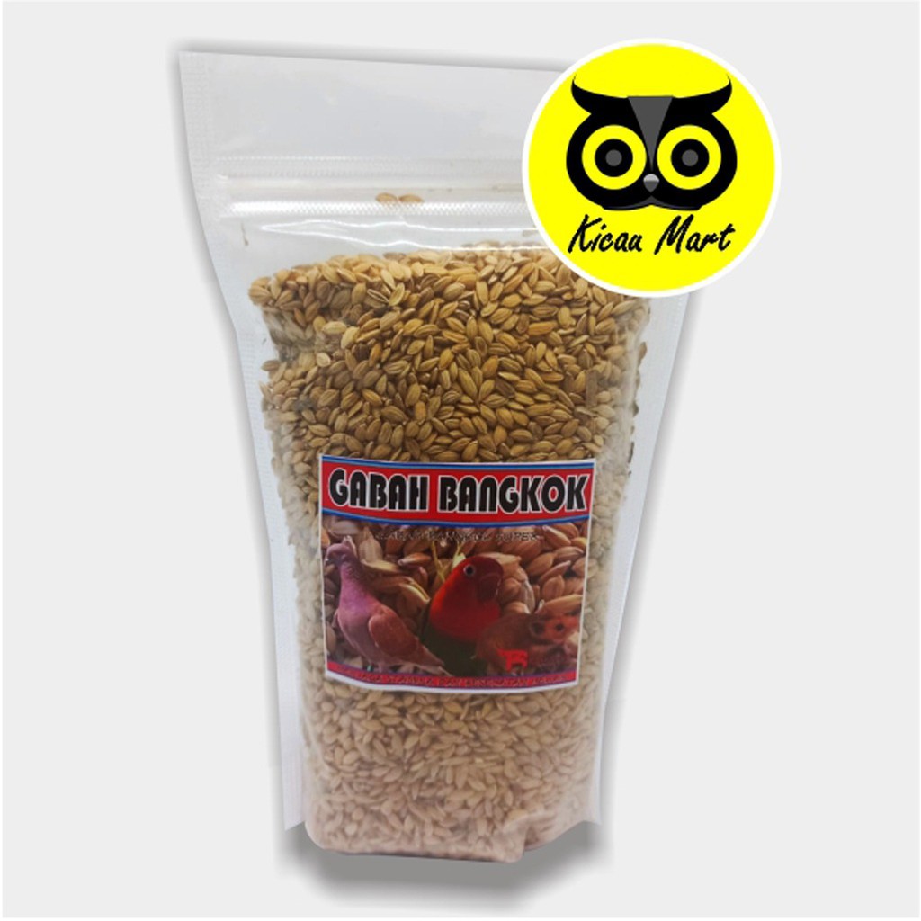 GABAH BANGKOK PILIHAN BEBAS KUTU PAKAN MAKANAN BURUNG MERPATI LOVEBIRD KENARI PARKIT HAMSTER GBBRF