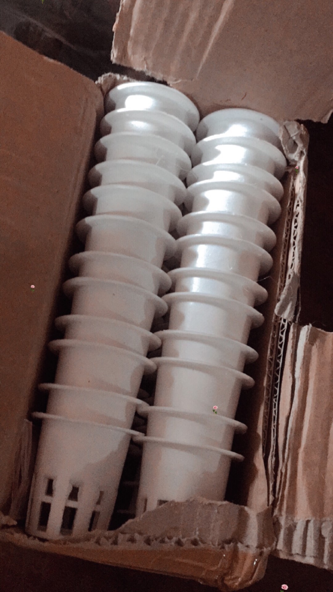 Benih Sawi Putih Hybrid F1 Chinese Cabbage 50 Biji