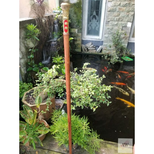 Tongkat Jalan kayu bertuah STIGI