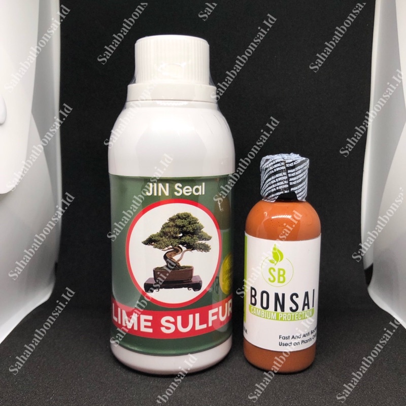Lime sulfur bonsai 300ml beli lime sulfur gratis saleb kambium 60ml