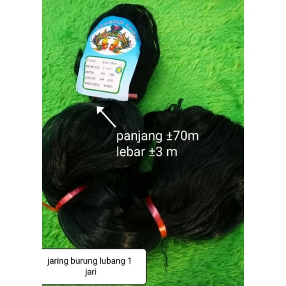 Jaring burung pipit colibri burung kecil pikat burung jaring burung