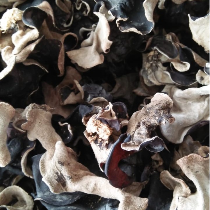 

jamur kuping kering 500 gr jamur hitam kering 500 gr sortir bersih grade A