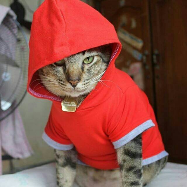 Kaos hoodie swag untuk kucing dan anjing / kaos lucu kucing / baju kucing size S M L XL