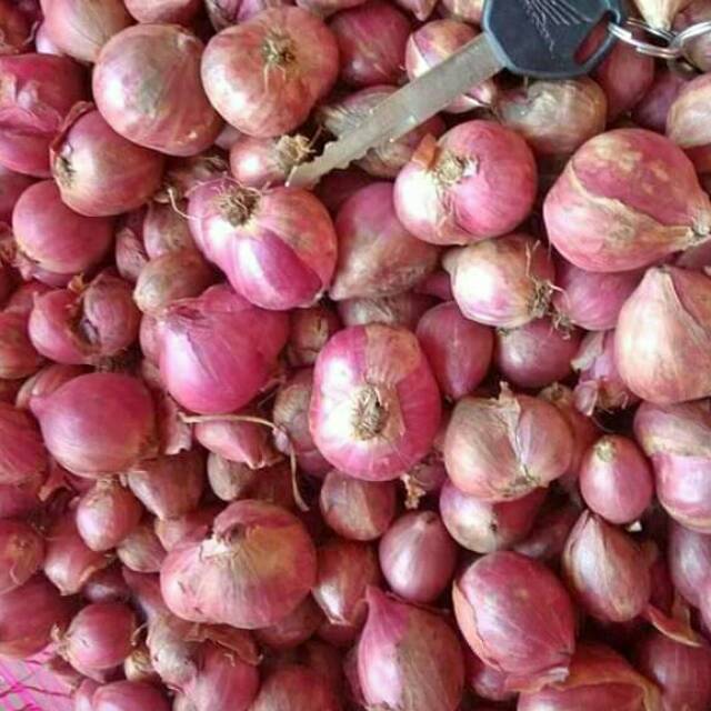

Bawang merah