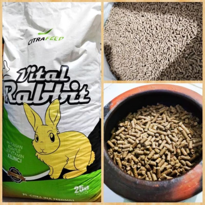Makanan Pakan Pelet Kiloan Kelinci Marmut Anggora Dutch ND Rex 500Gram
