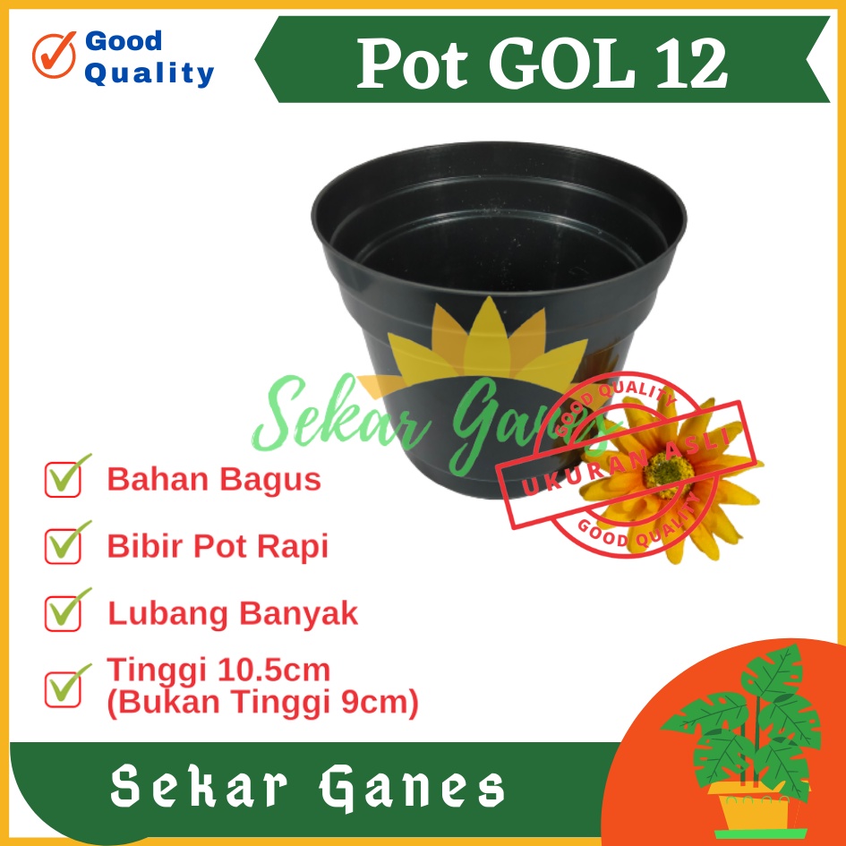 Lusinan Pot 12 Cm Hitam Polos - Pot 12 Hitam Kecil Mini Minimalis Plastik Kaktus Sukulen Mini Murah Pot Bibit Pembibitan - Pot 12 Cm Grosir Lusinan