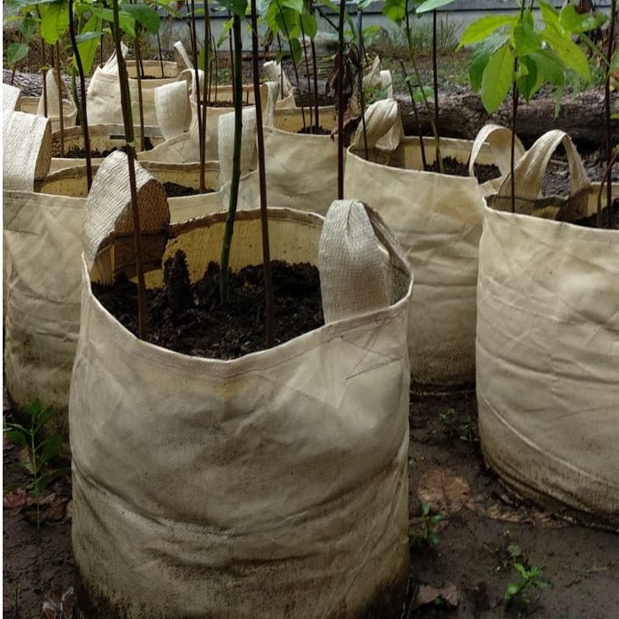 PLANTER BAG POT TANAMAN POT BIBIT POT BUNGA 75L PLANTERBAG