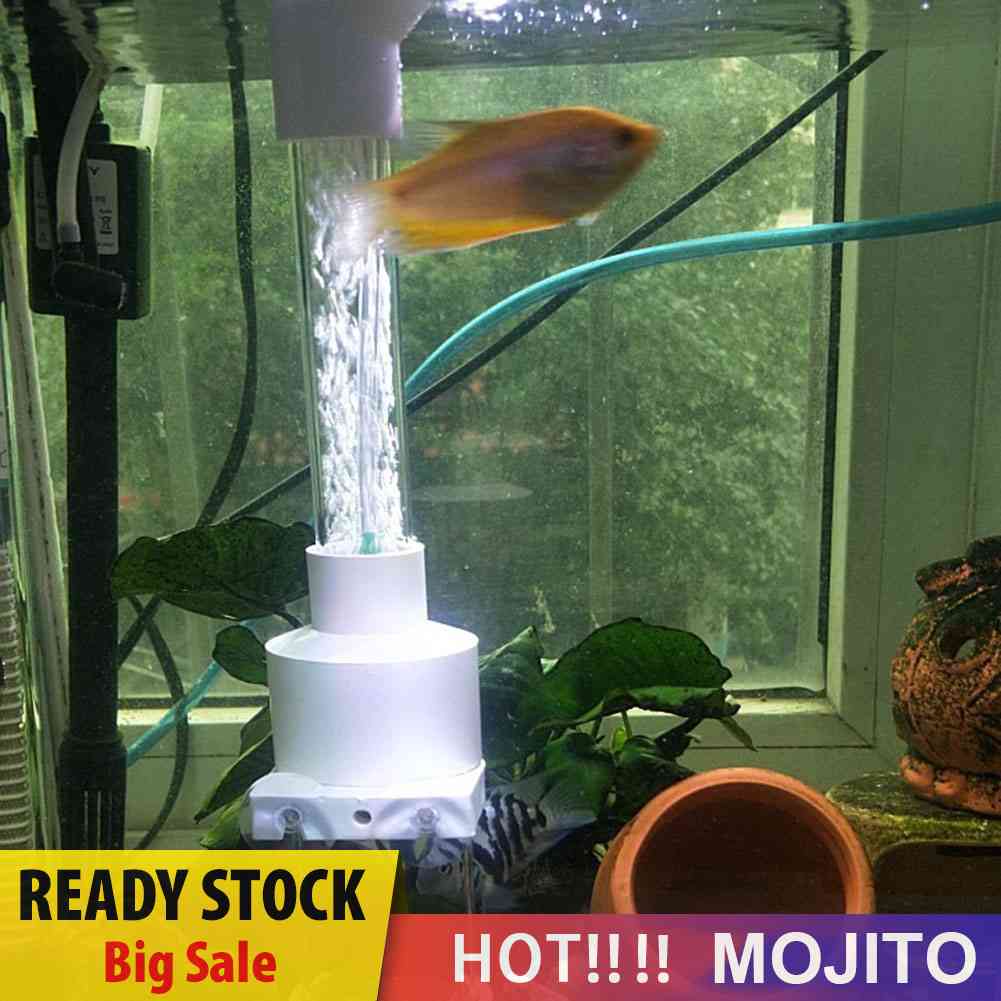 Inkubator Penetas Telur Ikan Cichlids Ukuran 40mm