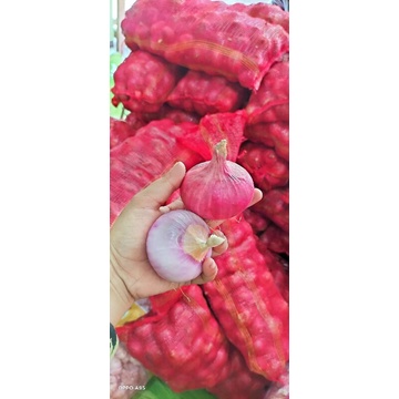 

Bawang merah India