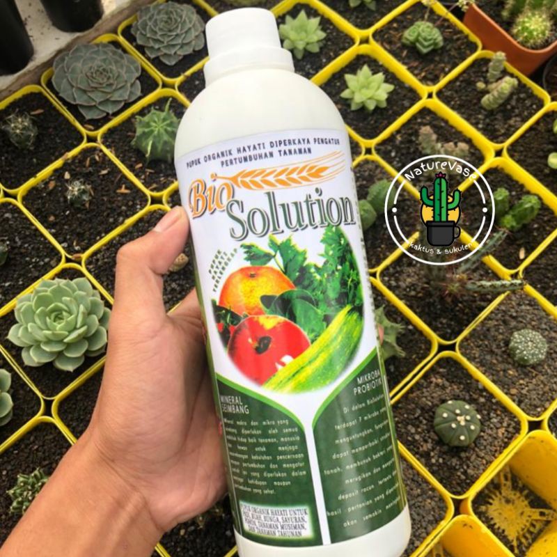 KAKTUS SUKULEN pupuk cair bio solution