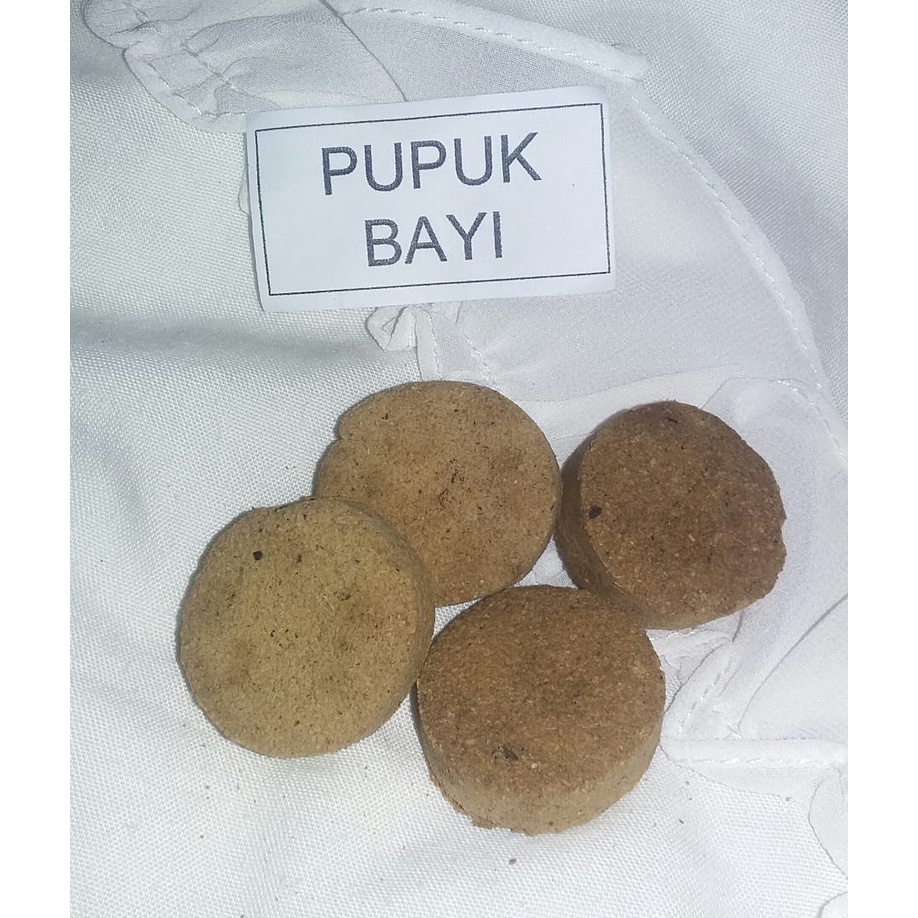 Pupuk Bayi Tradisional / Pupuk Dlingo Bengle