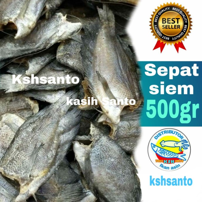 

Q0121Sa Ikan Asin Sepat Siem Super-500Gram D5qs44