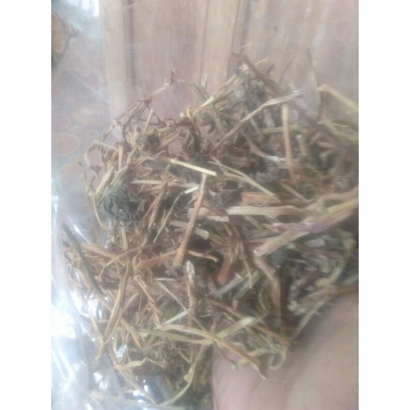 

Daun Binahong dan batang daun binahong kering