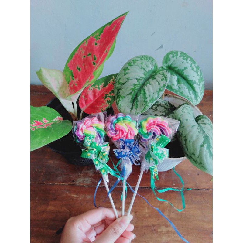 

PERMEN LOLIPOP 4 CM BENTUK BUNGA MATAHARI ISI 20 PCS / PERMEN LOLIPOP 4CM BUNGA MATAHARI ISI 20PCS / PERMEN LOLIPOP BUNGA MATAHARI 4 CM ISI 20 PCS