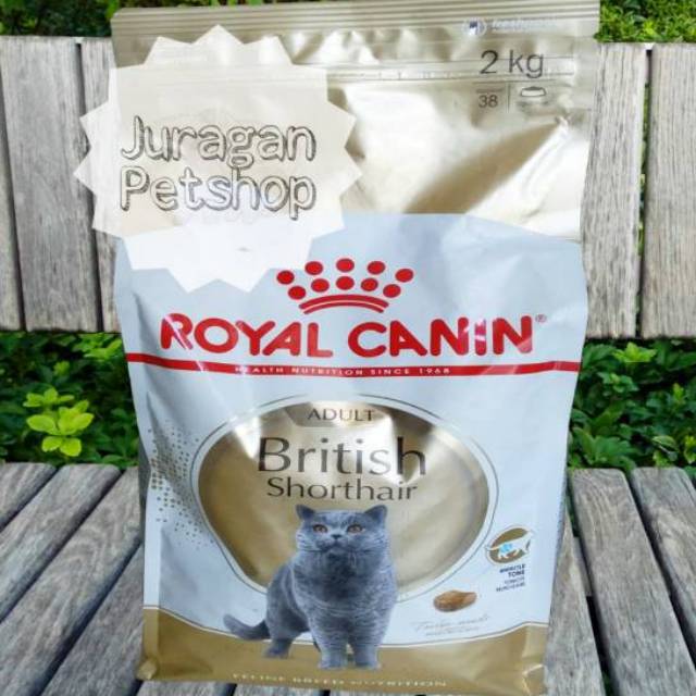 Royal Canin BRITISH SHORTHAIR ADULT 2KG | KEMASAN PABRIK