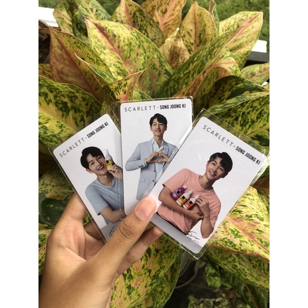Photocard Scarlett x Song joong ki