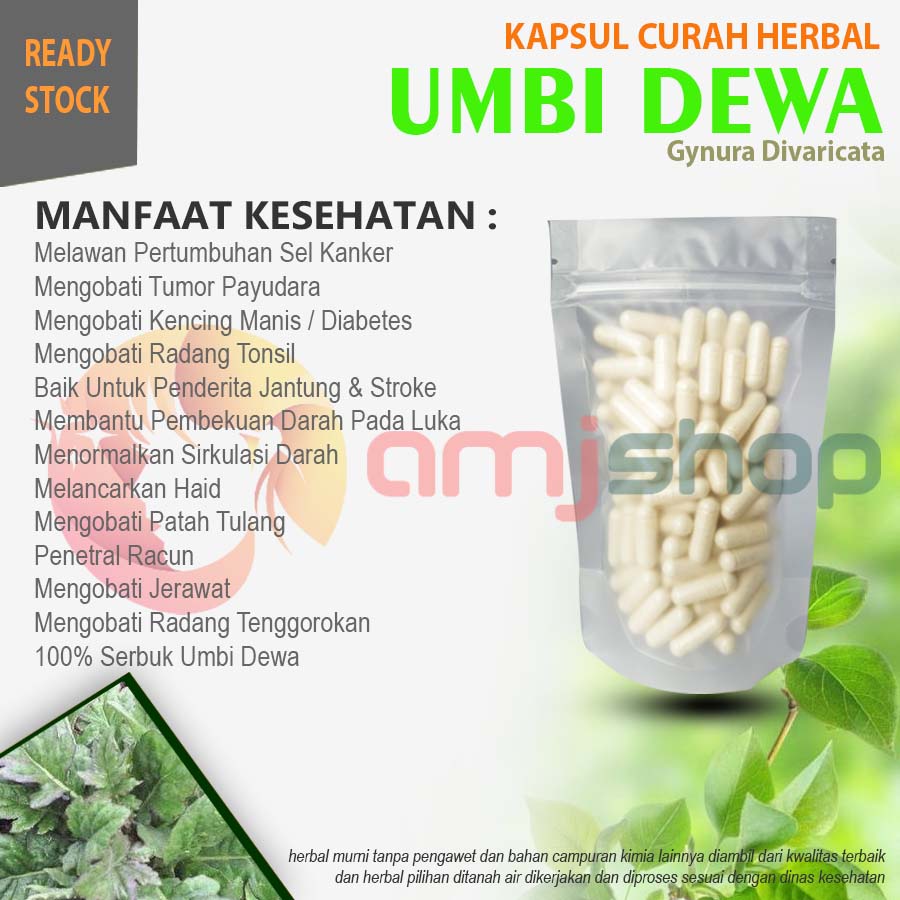 

Kapsul curah herbal umbi dewa kapsul herbal radang tonsil jerawat penggumpalan darah