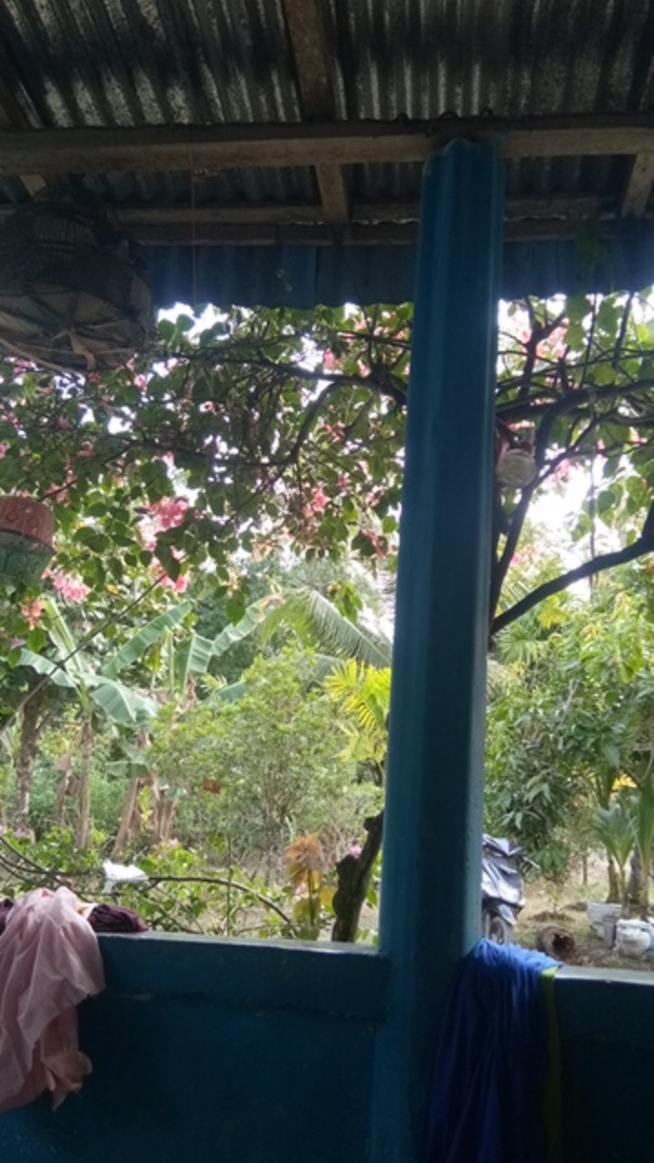 Farika Jumbo Maxy  - Gamis Calvin Jeans Jumbo Ld110 / Gamis Jumbo Batik / 023-5902