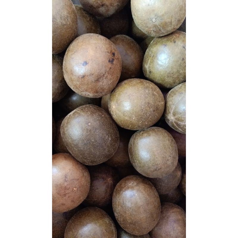

buah lo han kuo/luo han kuo untuk panas dalam,batuk,dan sakit tenggorokan