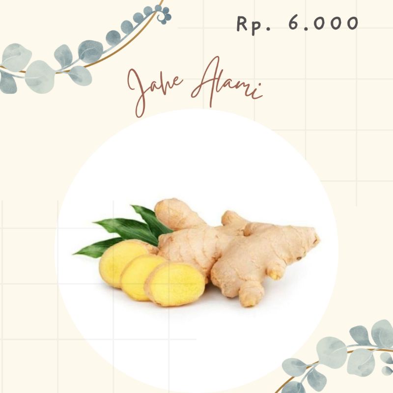 

Jahe alami untuk minuman jahe 50 gr