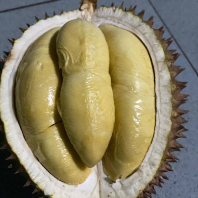 

Durian lokal premium dan montong