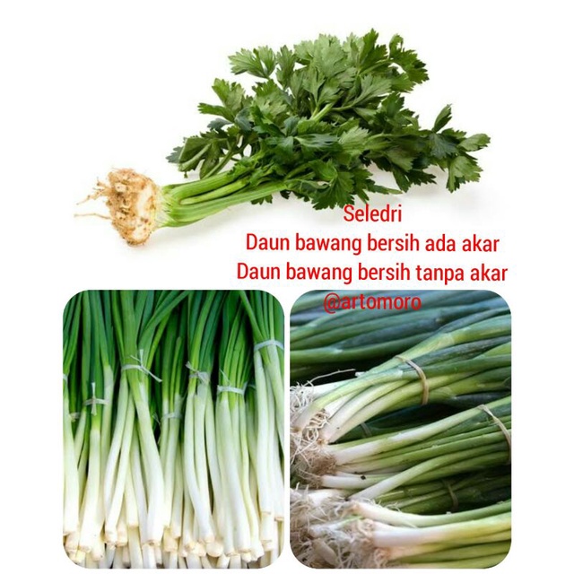 

Daun Bawang & seledri 500Gram