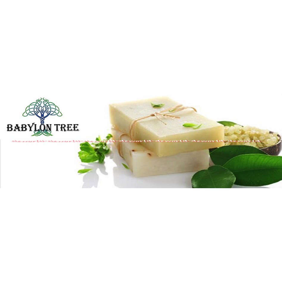 Paquito Lys De France 90gr Sabun Batang Pakuito Pakuito Lis De Frances Bar Soap Paquitos Bars Soaps