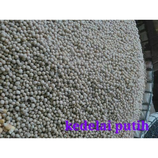 

kacang kedelai putih / dele putih 500gram