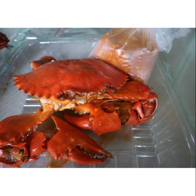

Kepiting Timika 500gr Khas StreetCrab