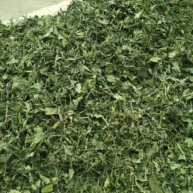 

pegagan/centella asiatica kering super 1 kg bebas dari tanah dan di jamin bersih