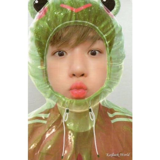 WTB BAEKHYUN KODOK PHOTOCARD [ WANT TO BUY ]