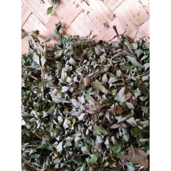 

Daun Meniran Kering bermanfaat untuk ramuan obat