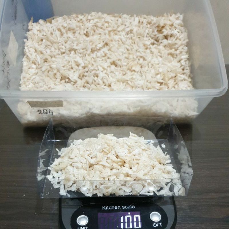 

SARANG BURUNG WALET KAKIAN GUNTING/KAKIAN KECIL