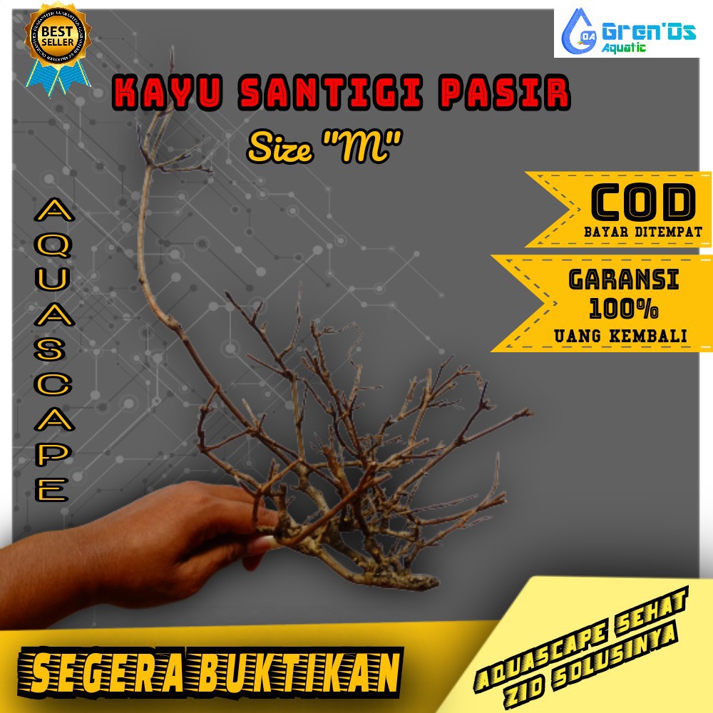 Kayu Santigi Pasir Size M Aquarium Aquascape untuk Bonsai