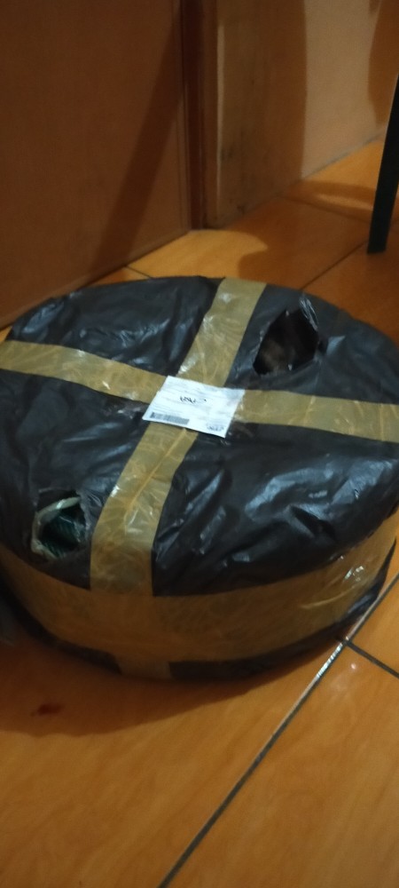 Selang Air Benang Hijau Rhinoceros 5/8 50meter Selang Air Taman Selang Air Elastis