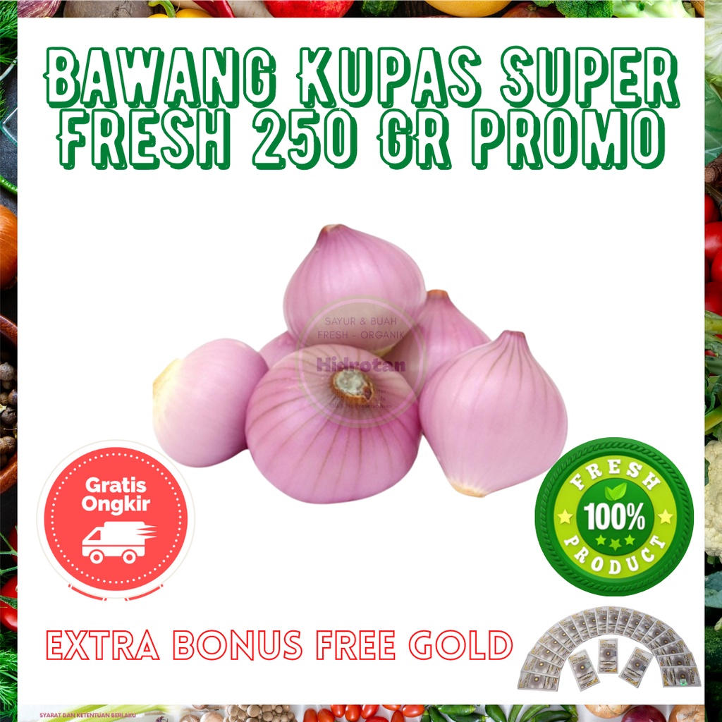 

Bawang Merah Kupas 250 gr | Paket Sayur Sayuran Segar Fresh Murah - ( Promo Free Emas )