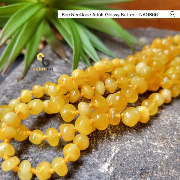 Kalung Amber Dewasa Premium Glossy Butter by Amber Bee NAGB66