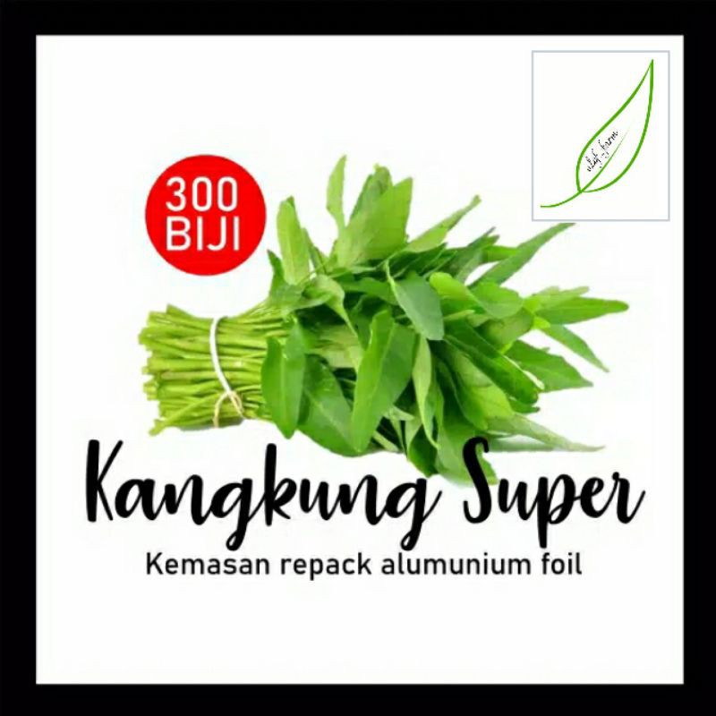 bibit kangkung | benih kangkung | kangkung super | sayuran kangkung | benih eceran | benih murah
