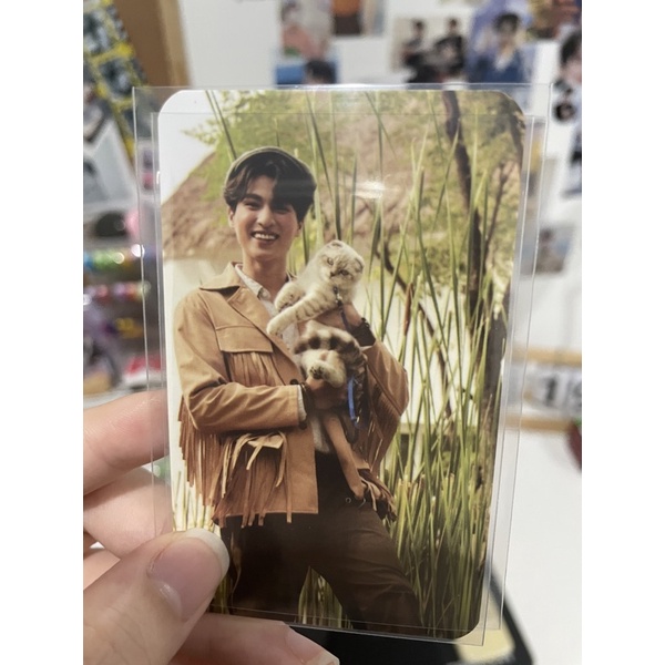 PC Gulf Pet Hipster [Booked]