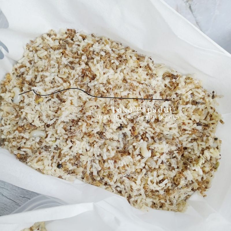 

KROTO SUPER LEMBUT PERA NON SEMUT / 100 GR / 1 ONS / TOKO PAPADUT