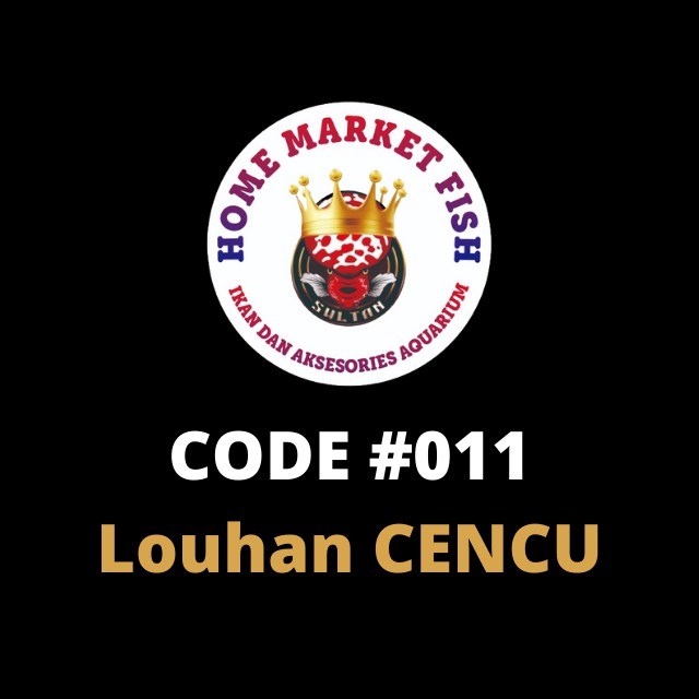 LOUHAN CENCU #011 REAL VIDEO ikan louhan cencu size 2-3jari video nyata 1 ikan/1 iklan sesuai video