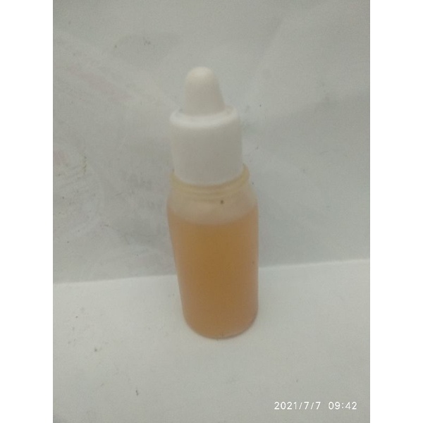 Essen bulus oil biang murni 15 mili